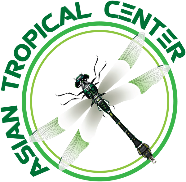 Asian Tropical Center